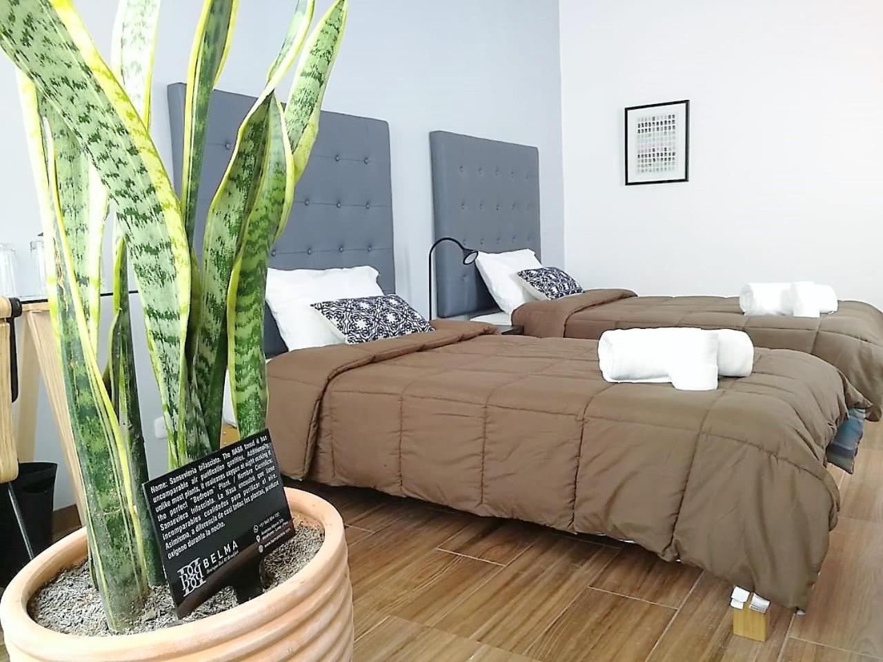 Belma Boutique Bed And Breakfast Lima Eksteriør bilde